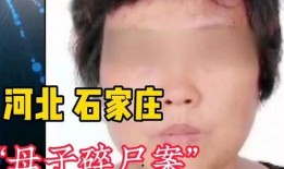 爆料母子失踪案件最新,警方全力追查，真相渐露端倪