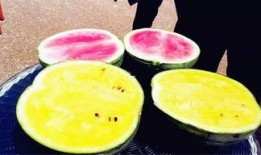 最新爆料的瓜,神秘事件真相大揭秘！